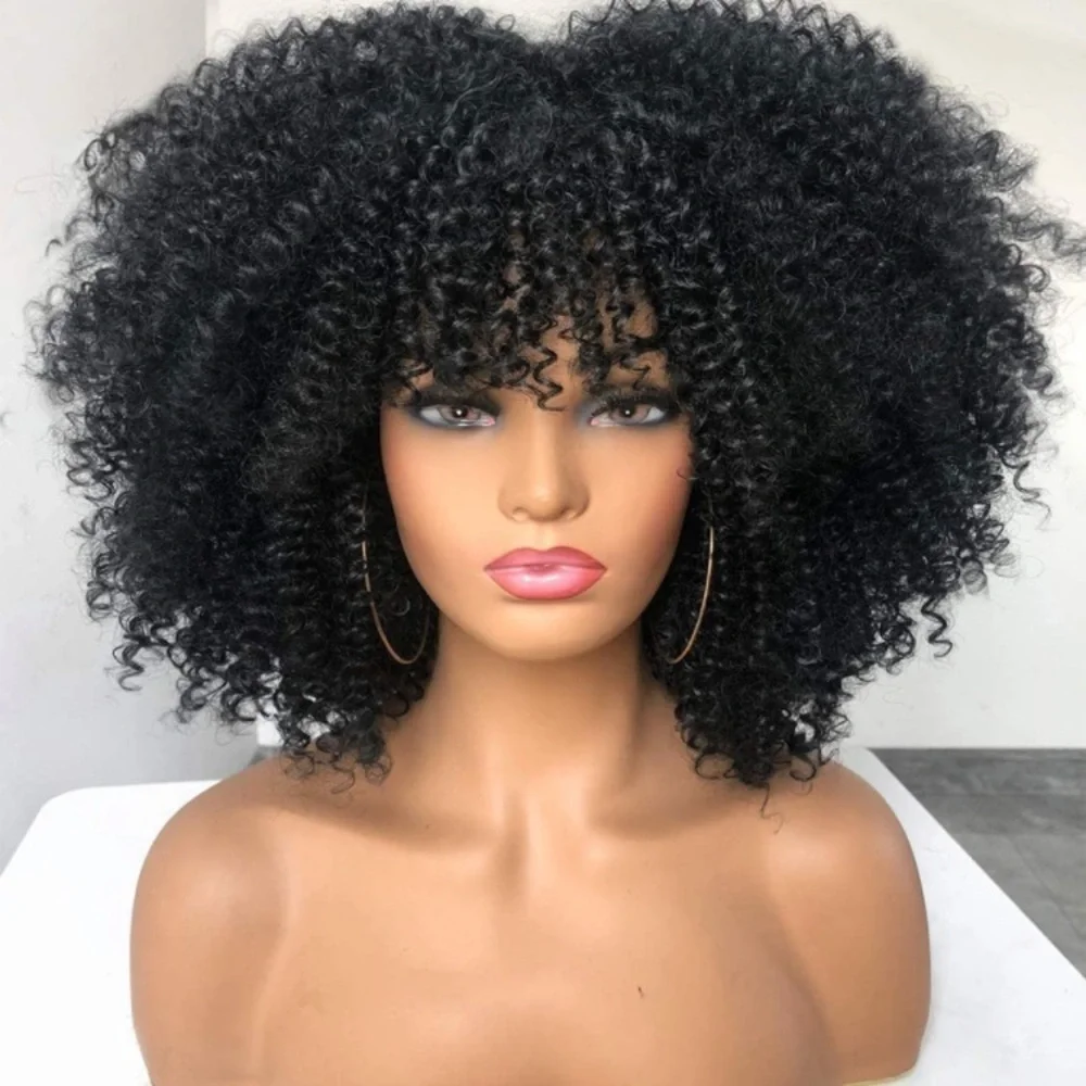Short Kinky Curly Afro Wig
